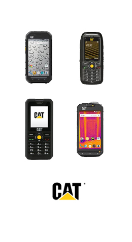 unlock-cat-Orange-1.jpg